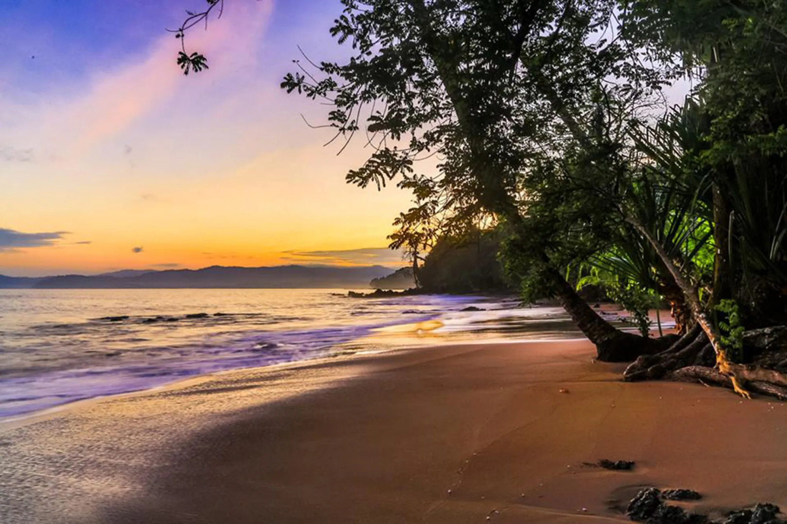 Copa De Arbol Beach & Rainforest Resort