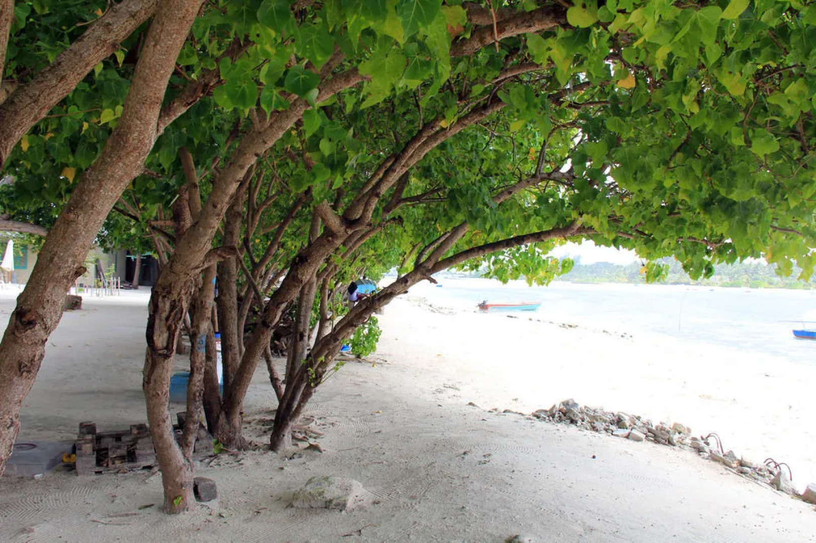 Rip Tide Vacation Inn