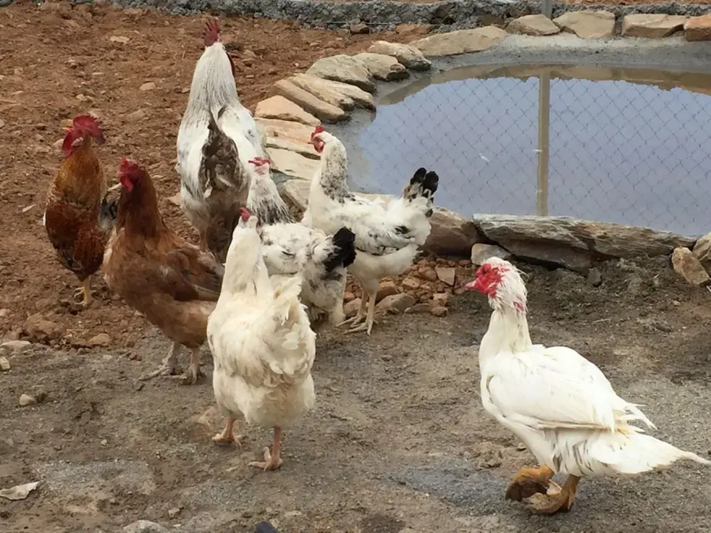 Romantic House for 2 People With Jacuzzi