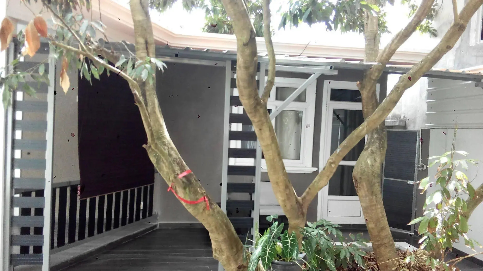 Residence Les Bambous
