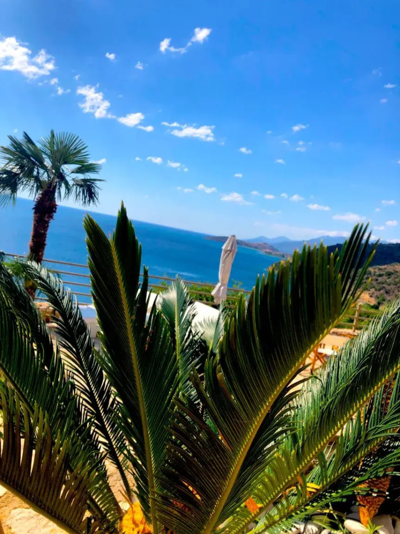 Blue Horizon Suites