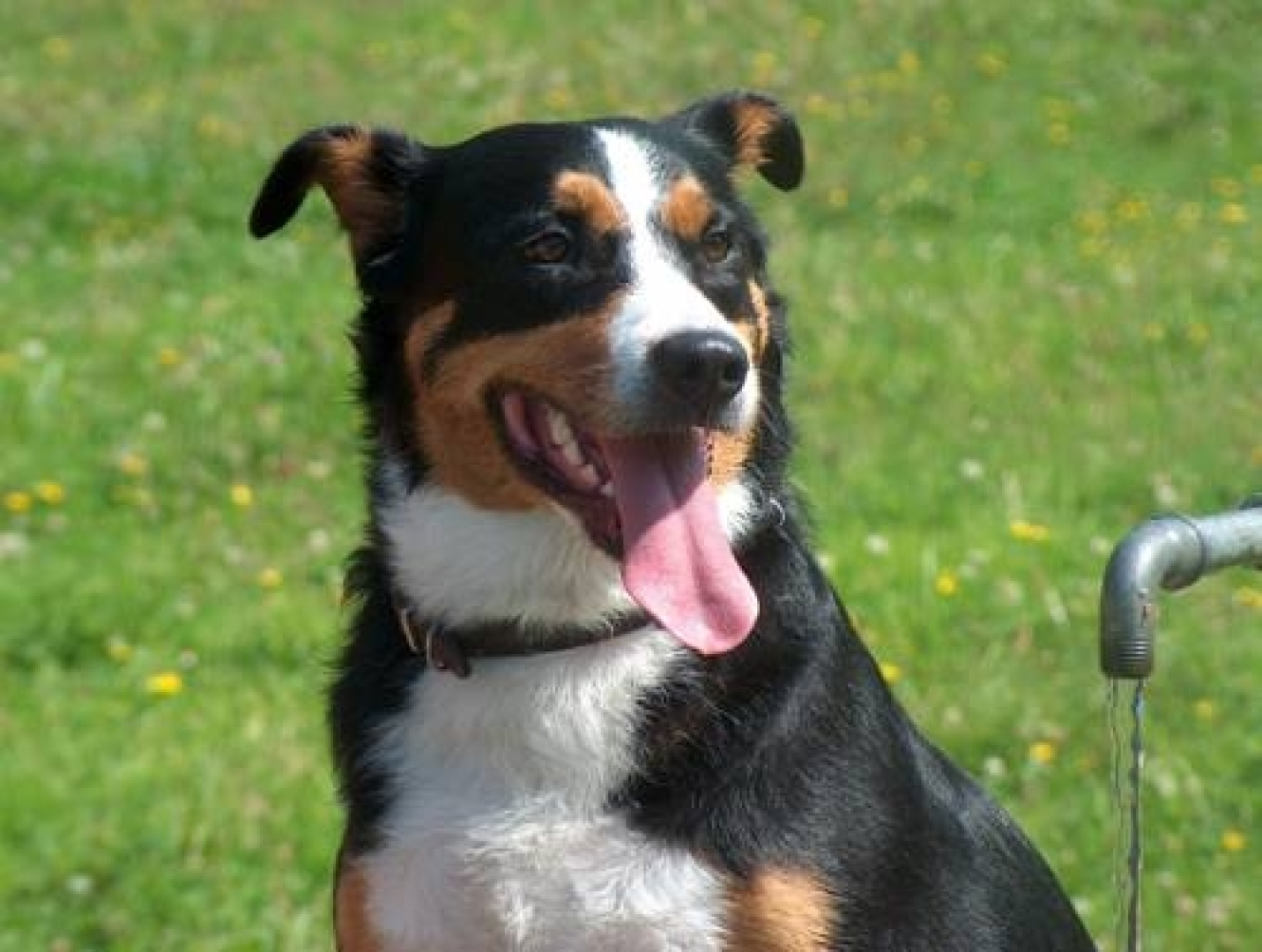 Hotel Oberländerhof