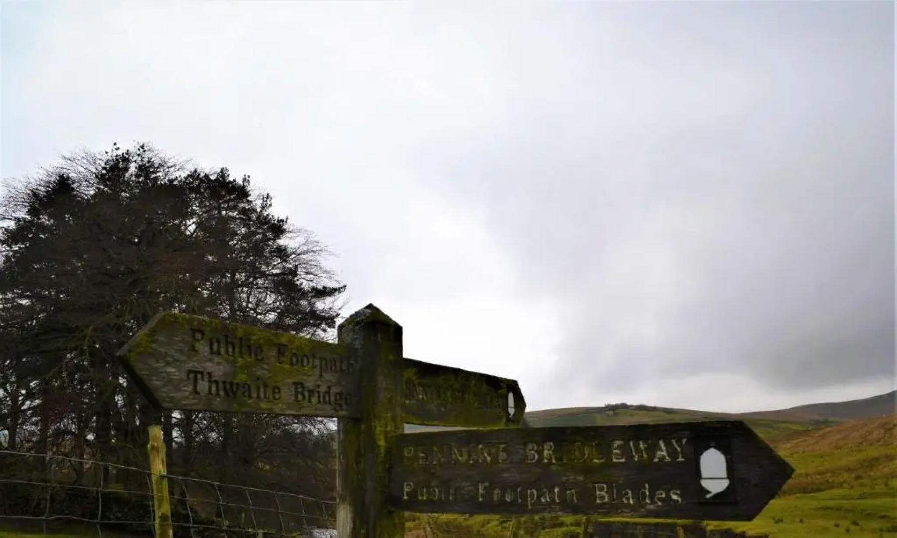 The Garsdale Bed & Breakfast - Goats and Oats at Garsdale