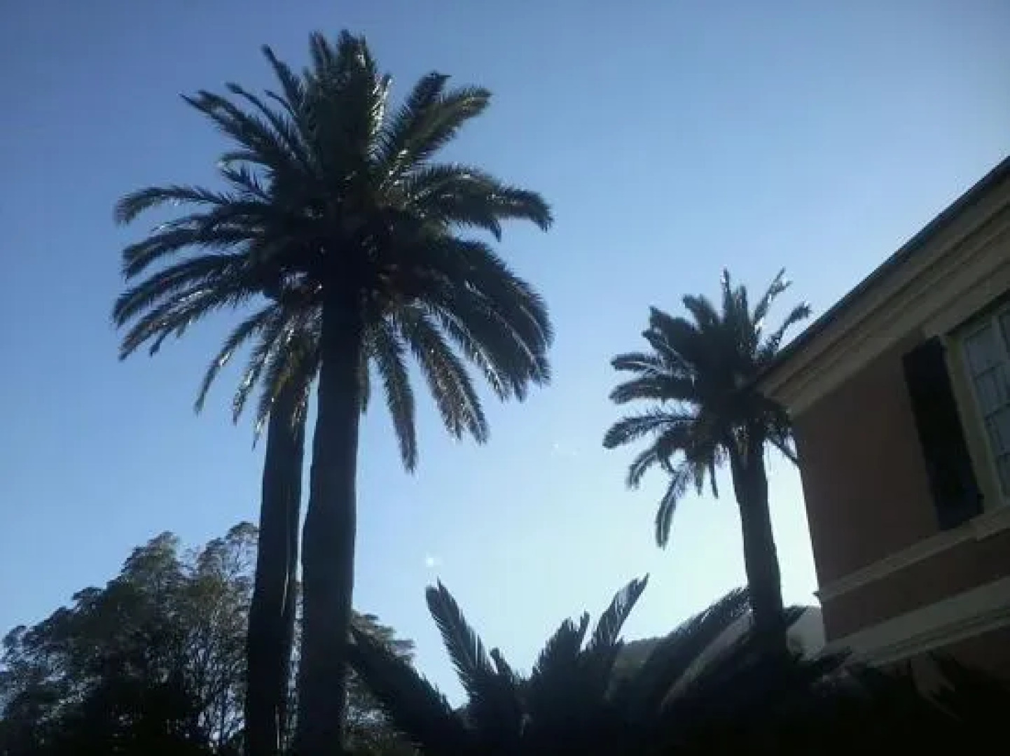 B&B Costa Lupara - Villa Murchio