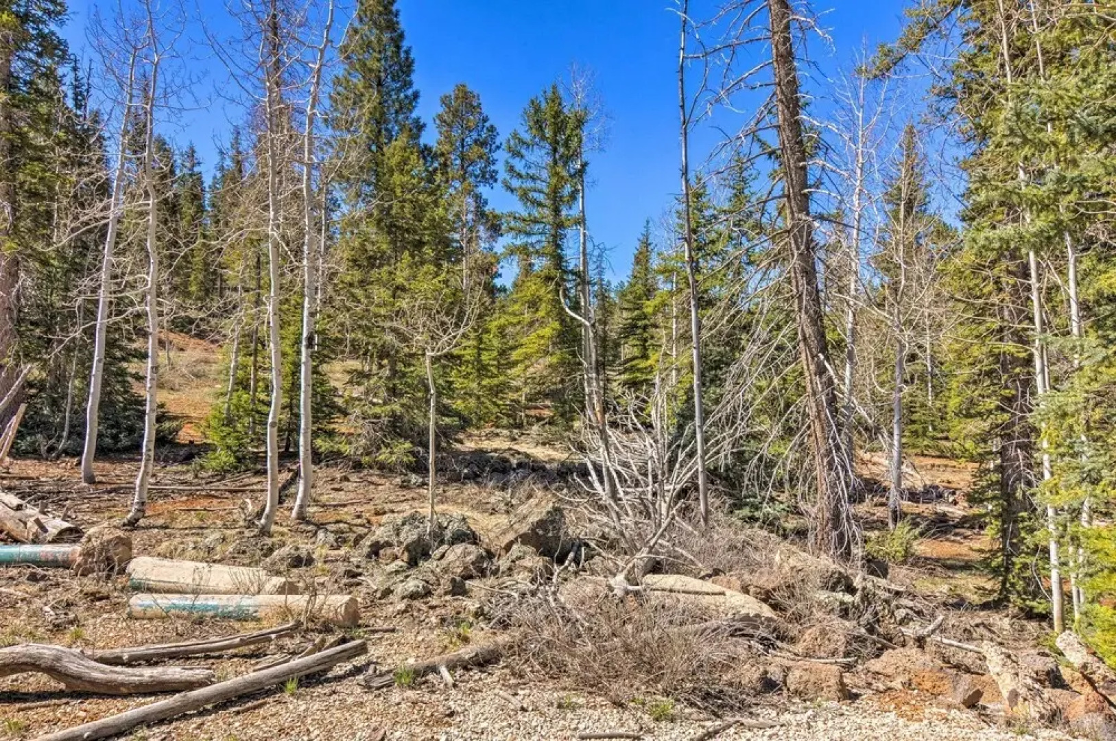 Private Duck Creek Apartment Near Entertainment!