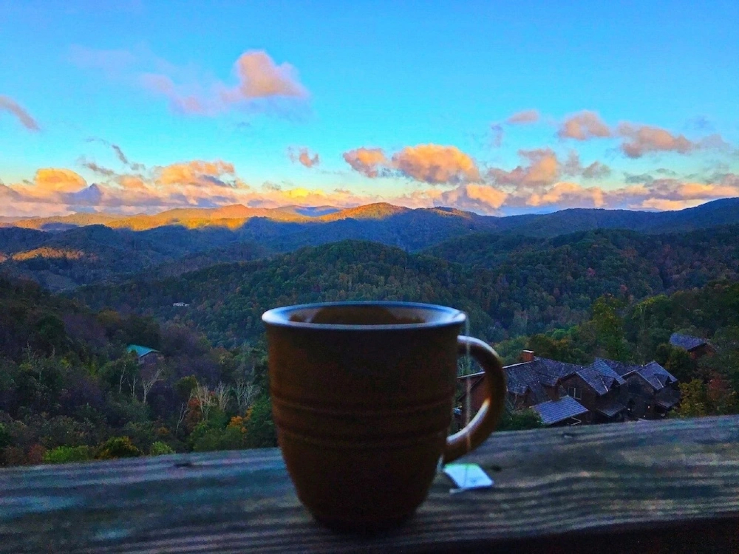 Cherish the Cabin - 4 Br Cabin