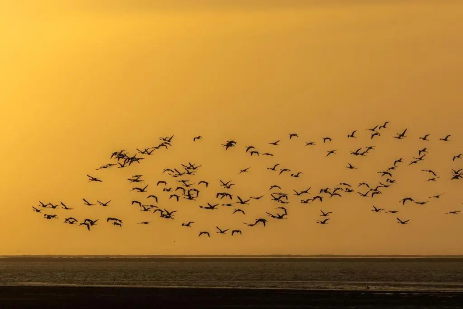 Flamingo Villa Boutique Hotel