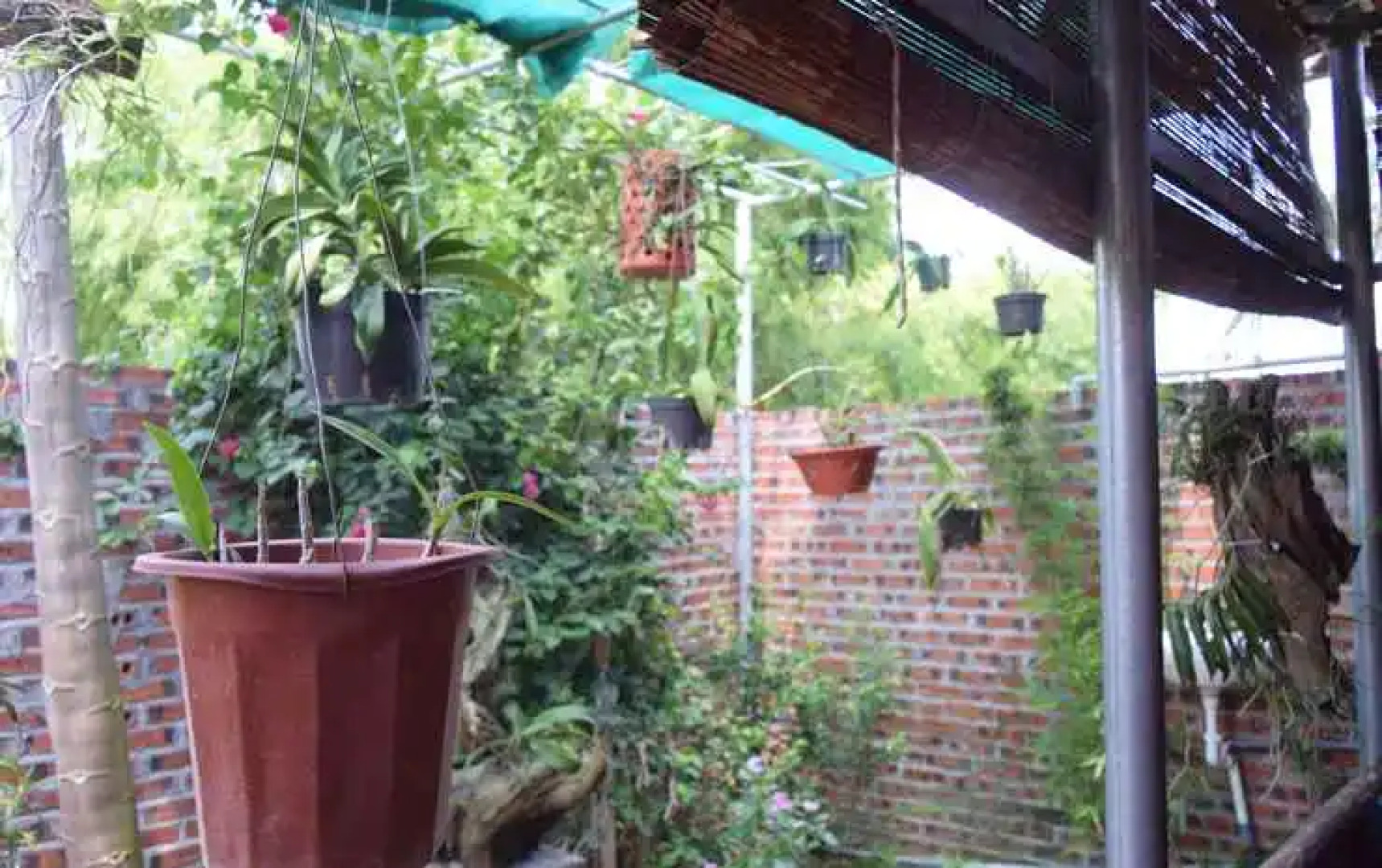 Van Long Family Homestay