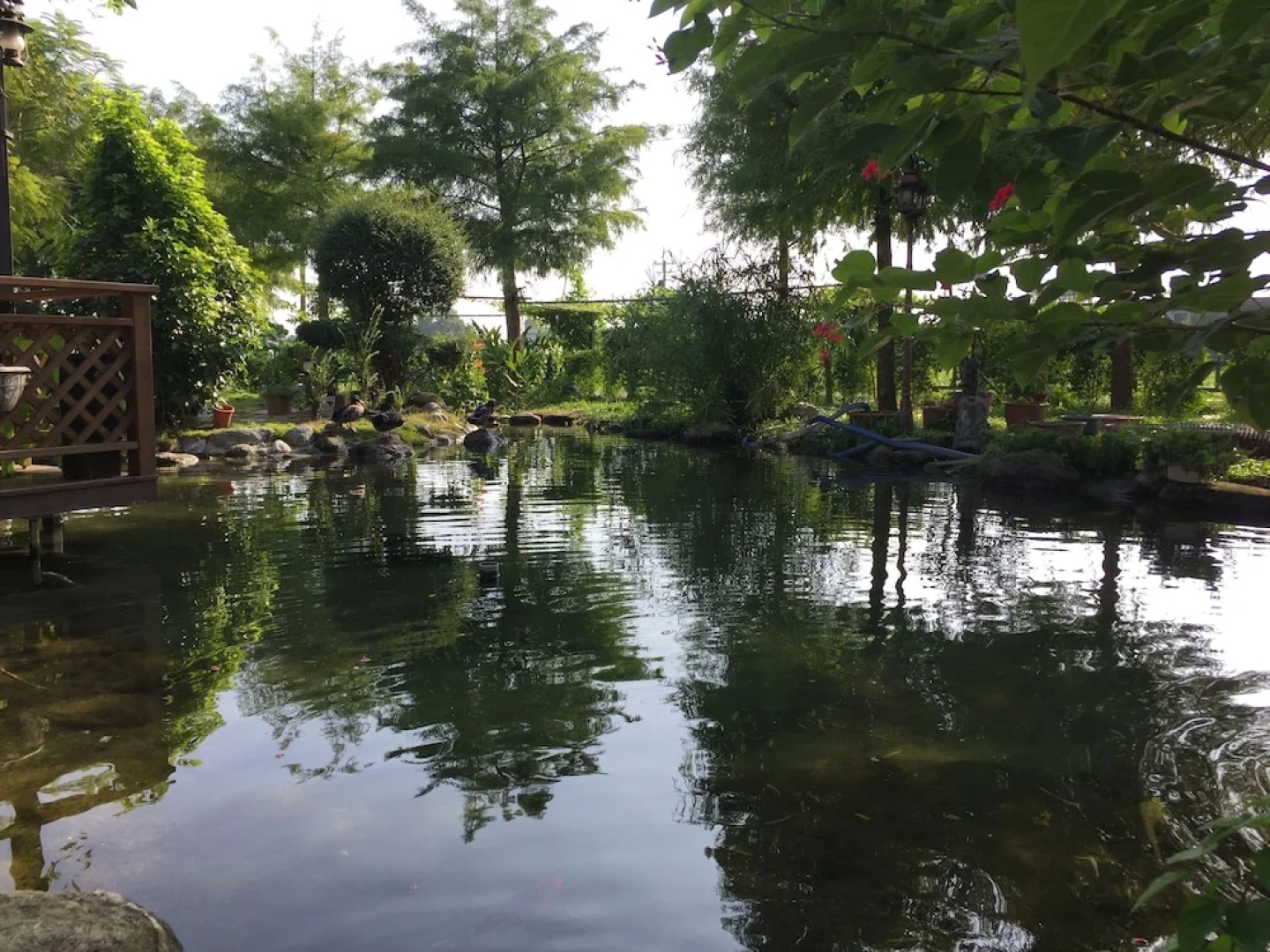 The Wonderland B&B