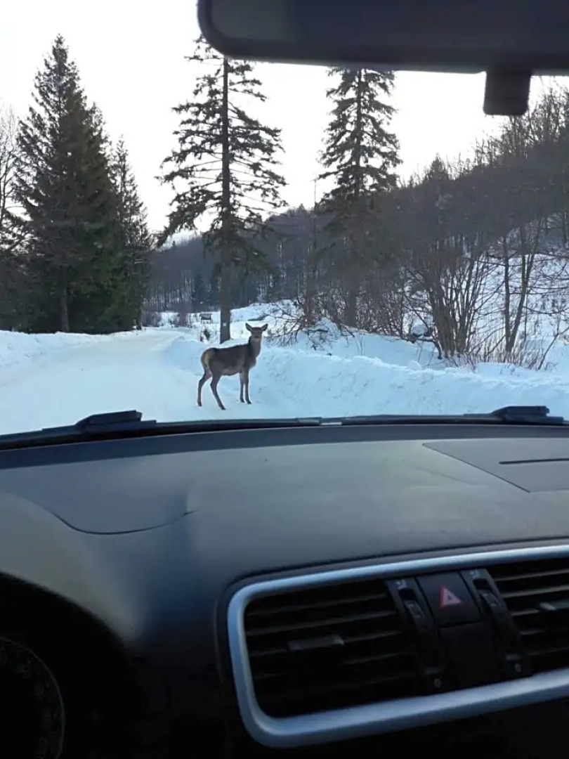 Zbojnicki Ostep-Nocleg Trapera