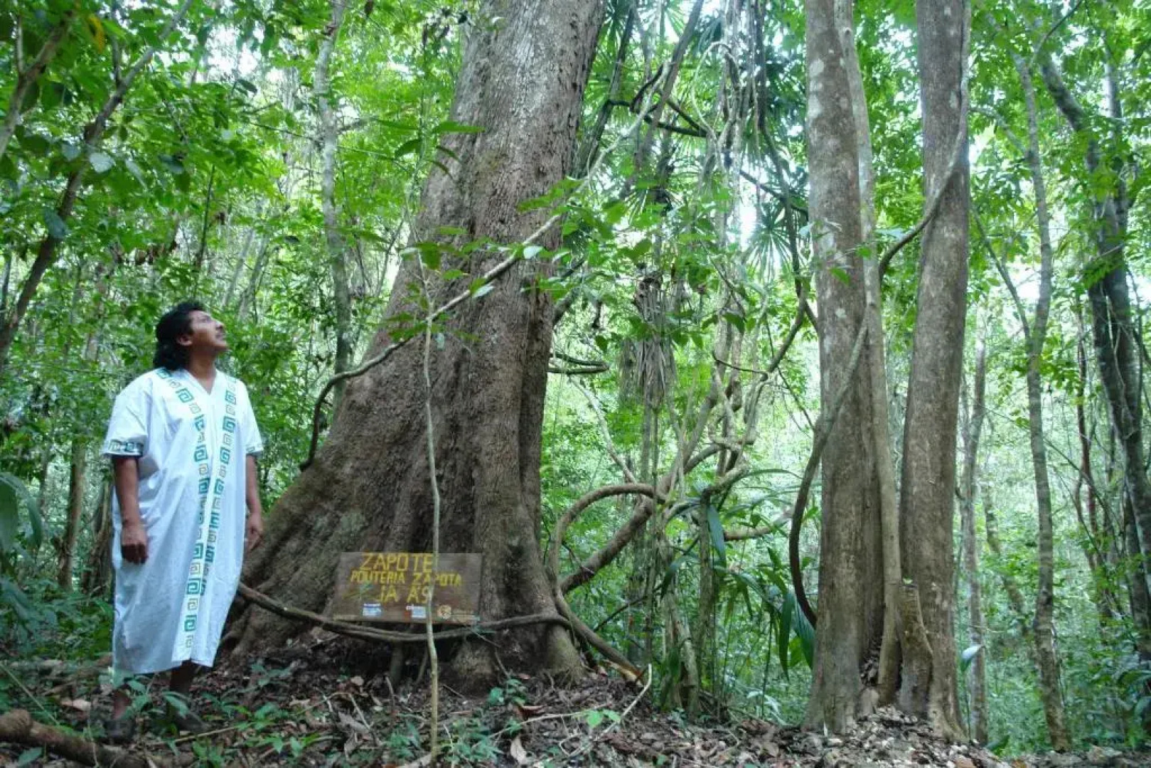 Tres Lagunas, Selva Lacandona