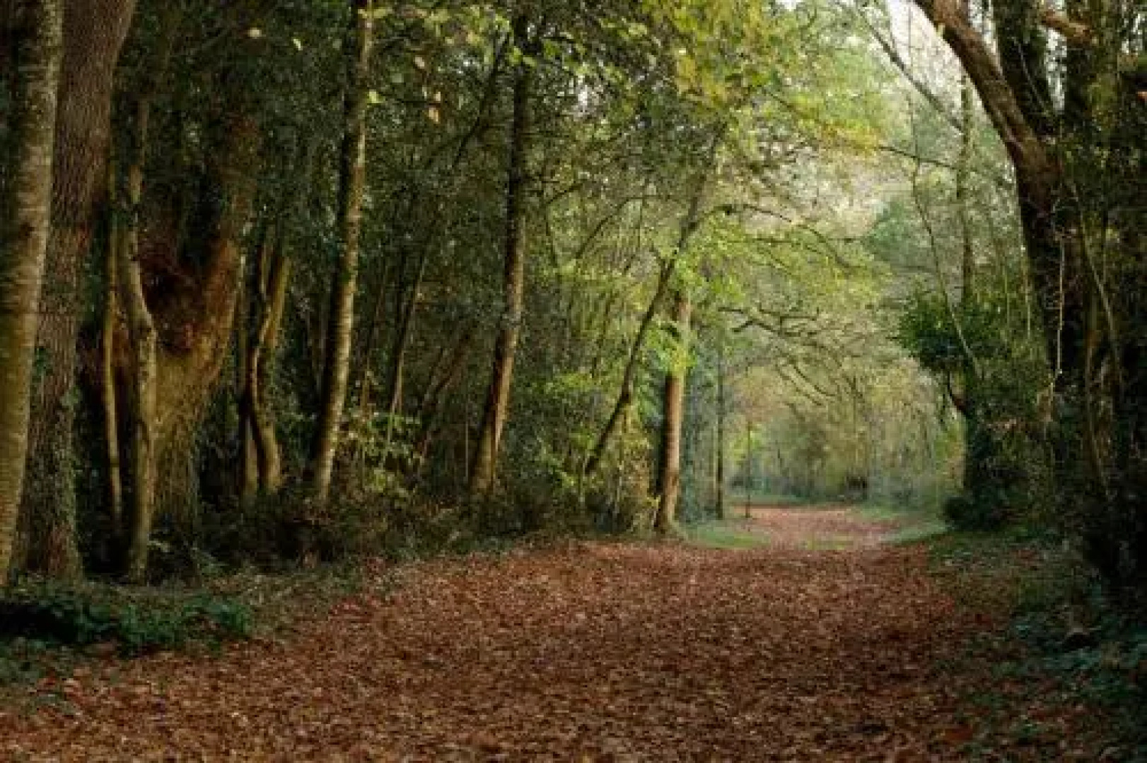 Proche Puy du Fou - Roches Blanches