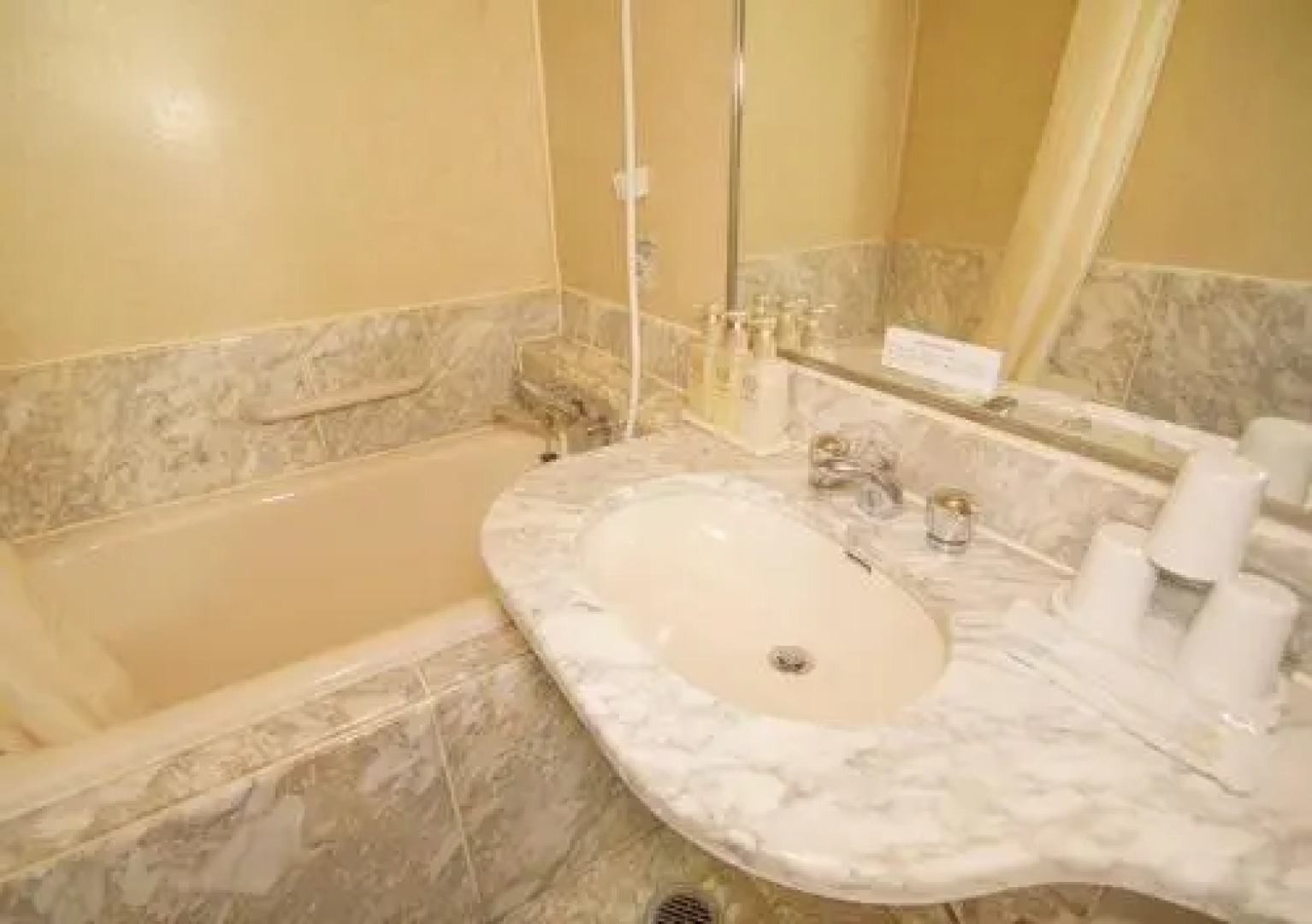 Shinsayama Daiichi Hotel