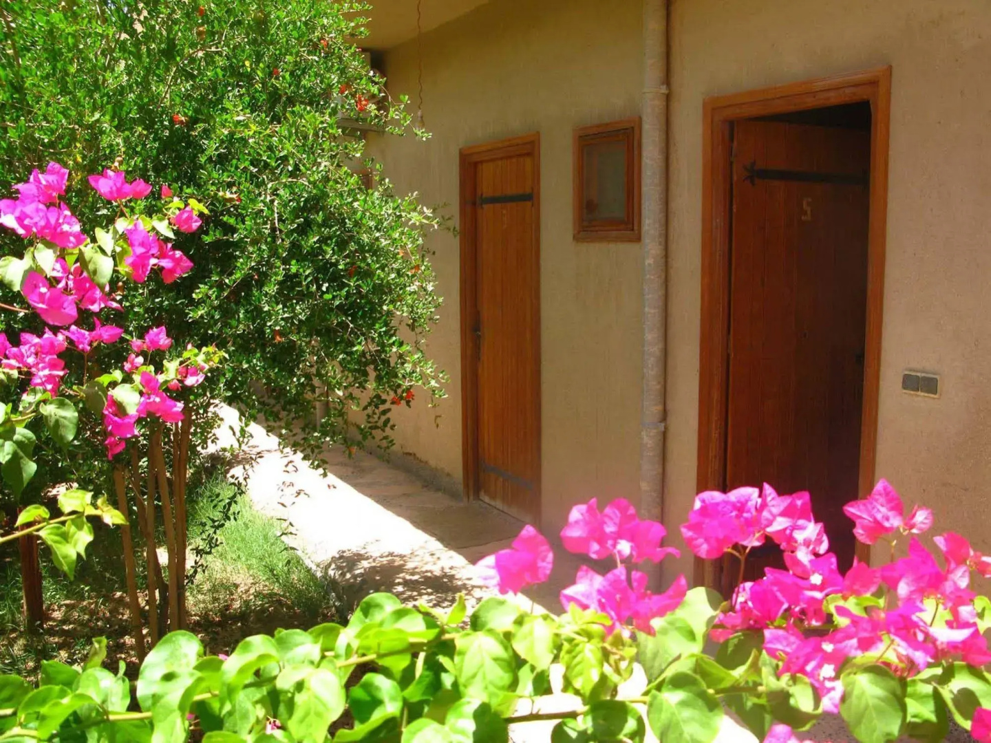 Gîte Dans la Palmeraie