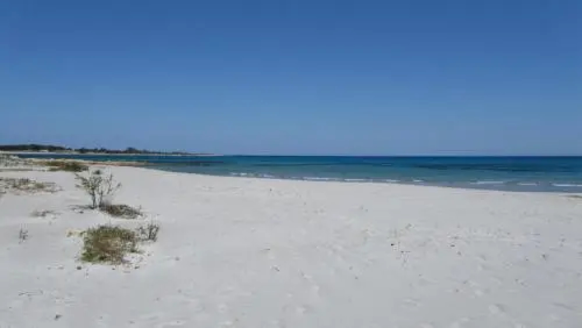 La Corte degli Ulivi