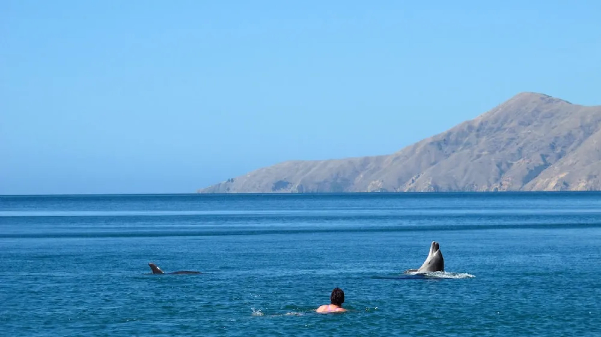 French Pass Beachfront Villas