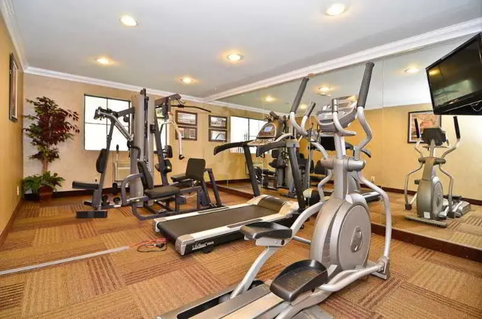 Quality Inn & Suites