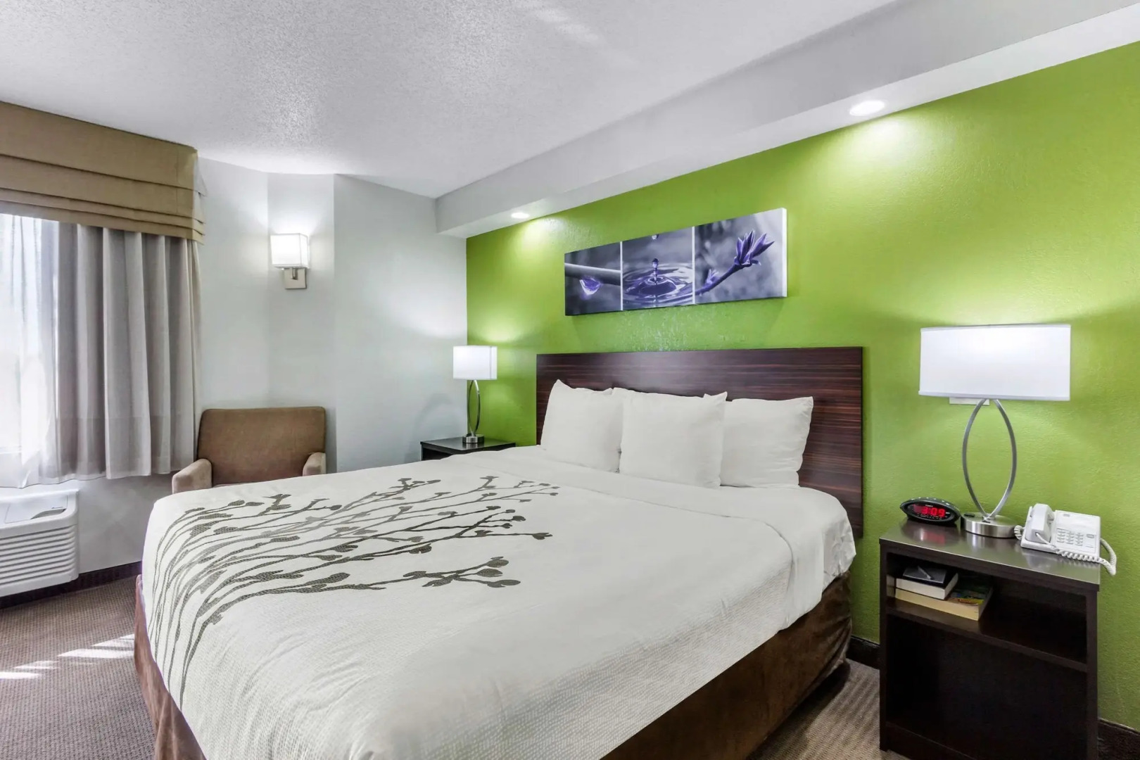 Sleep Inn near Busch Gardens/USF