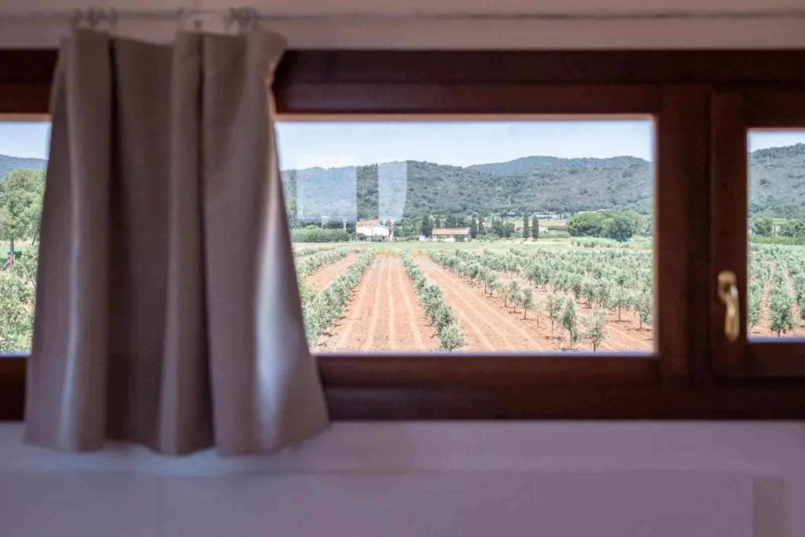 Agriturismo Terre di Castiglione