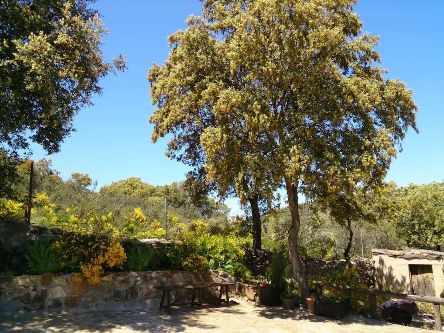 Valdolázaro