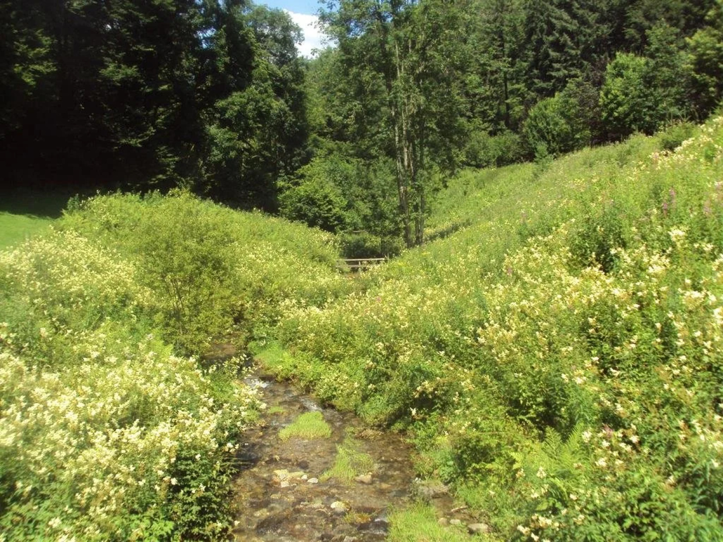 Le vieux moulin Bohan