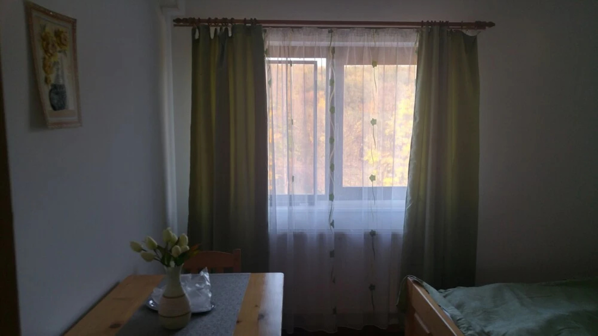 Pensiunea Casa Vanatorului