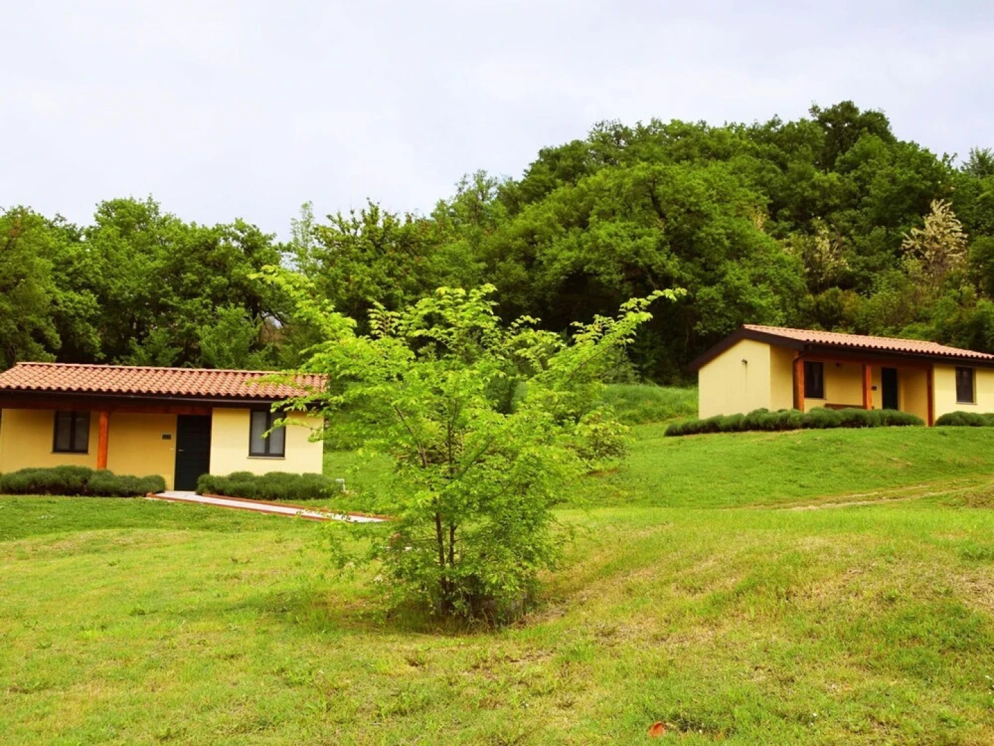 Vibrant Cottage in San Ginesio With Swimming Pool