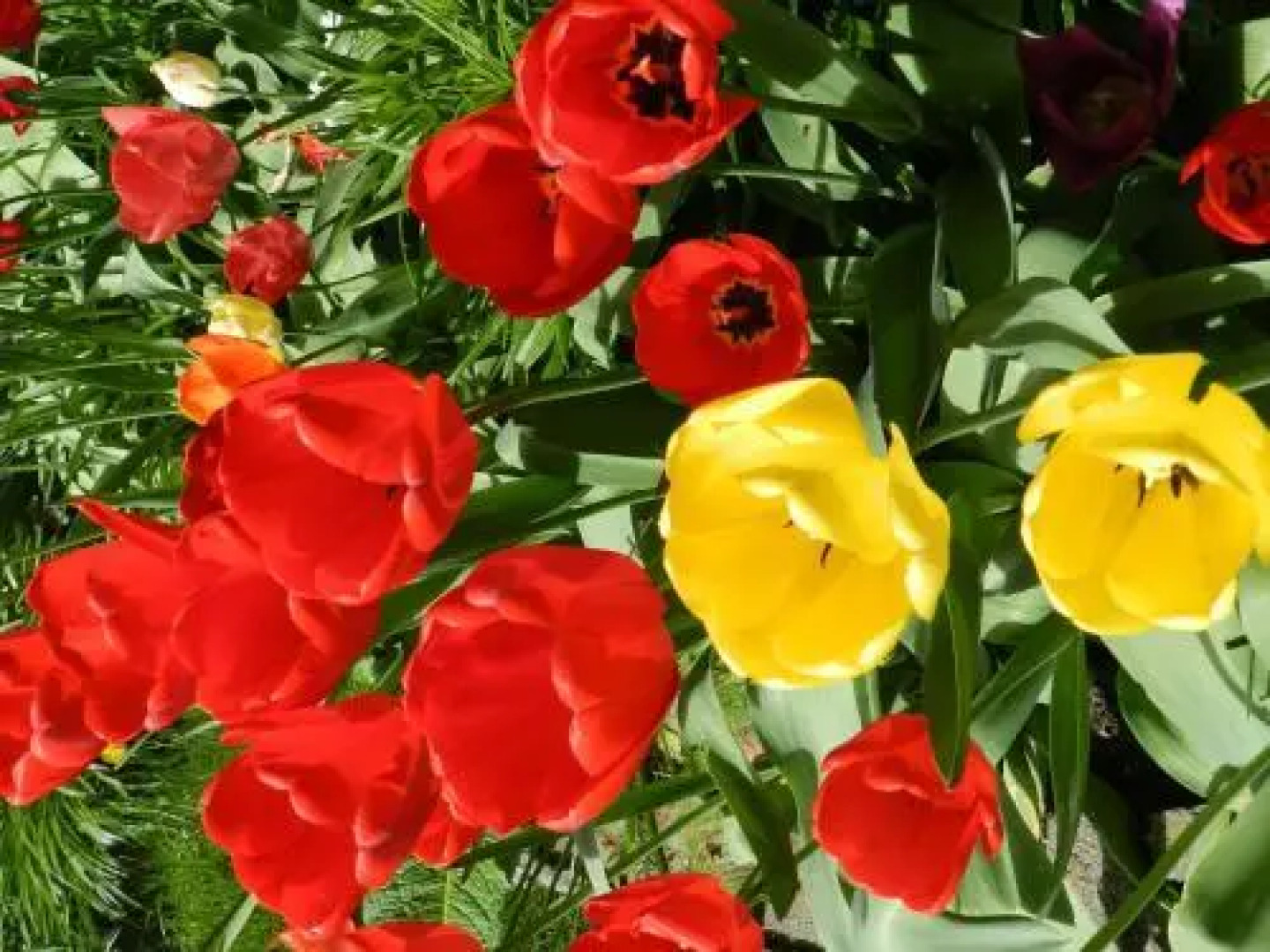 Serenity Bed and Breakfast