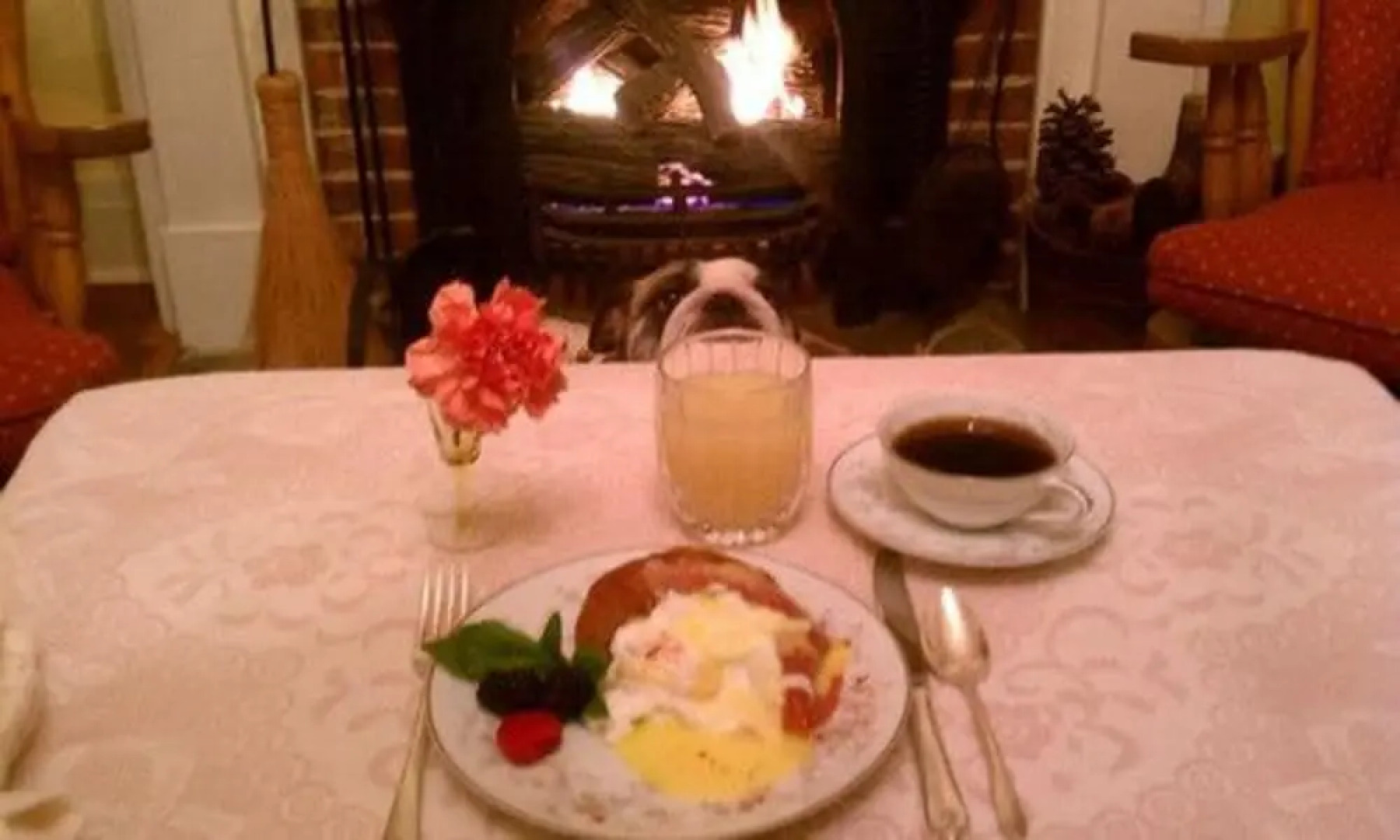 The Pines of Dresden B&B