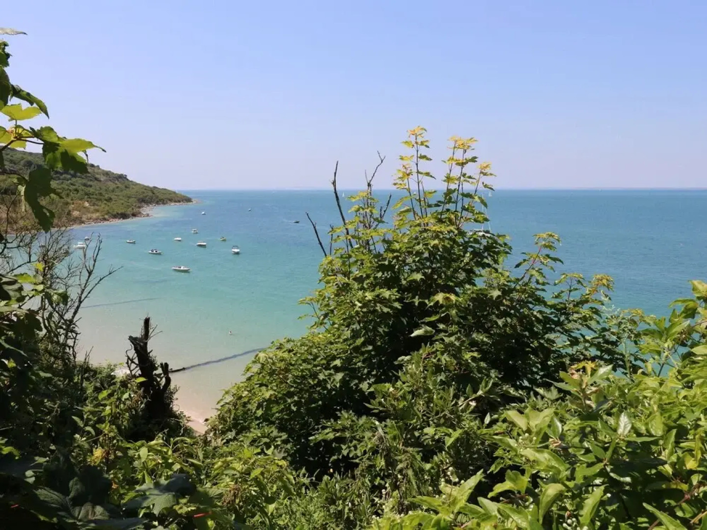 Baytree Cottage, Totland Bay