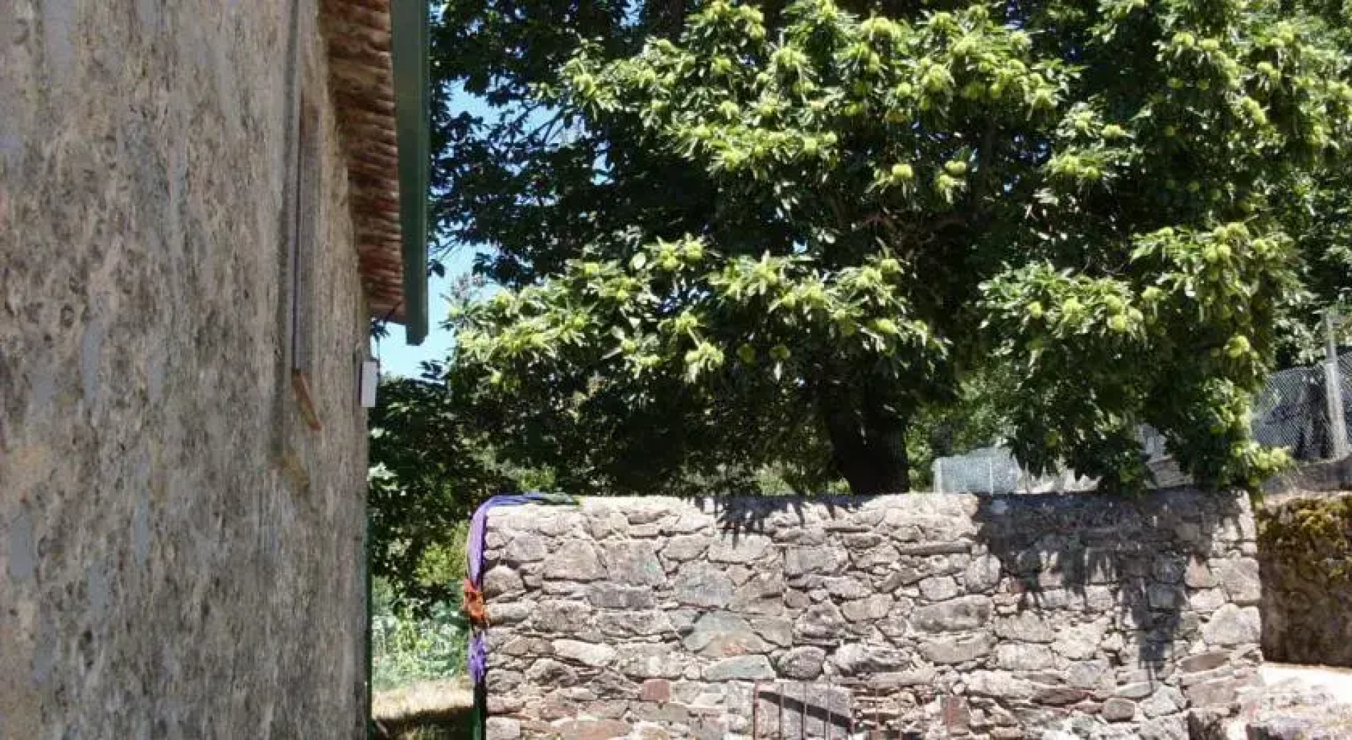 Casa Rustica na Aldeia de Coentral