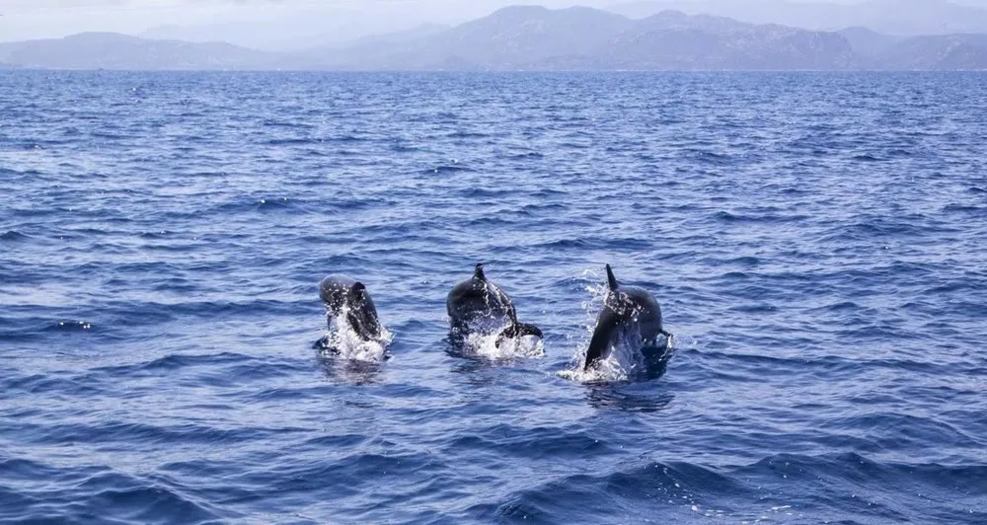 Villas U San Daniellu