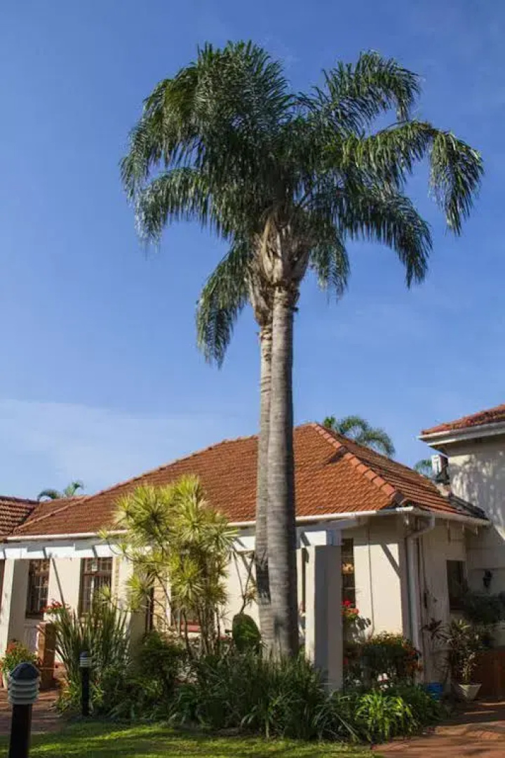 The Palms B&B