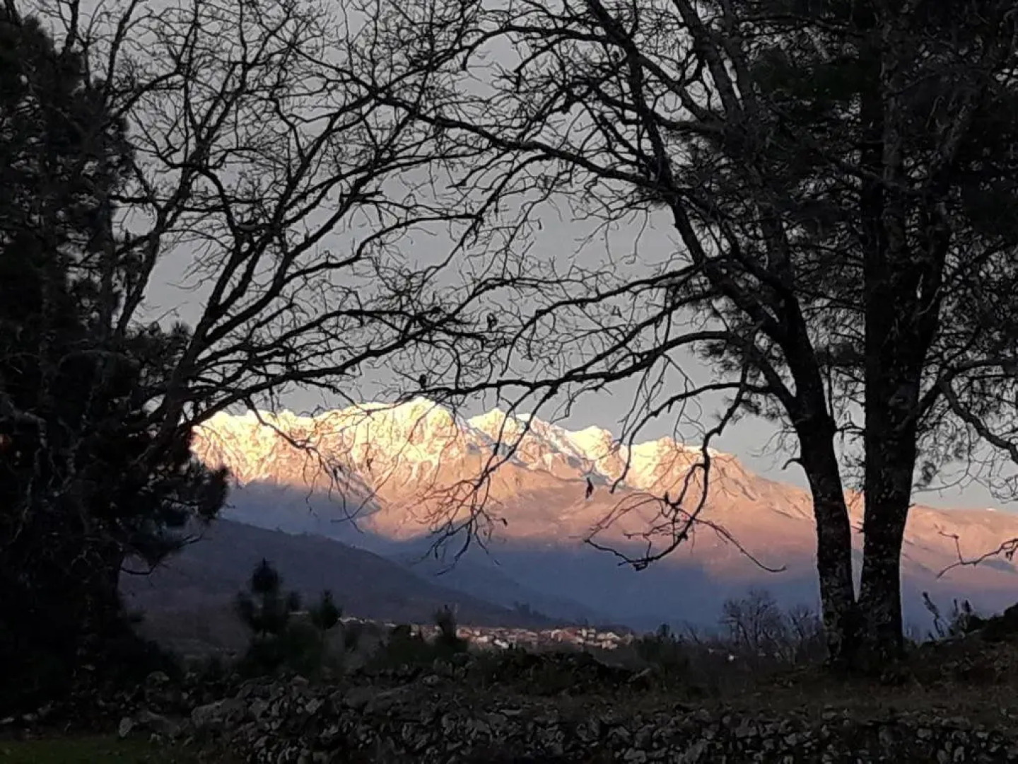 Apartamentos Rurales Ecopangea