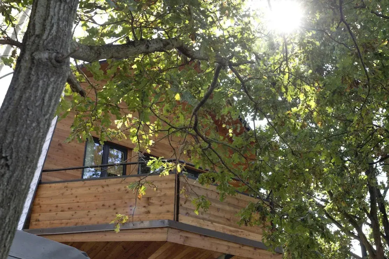 La Barca nel Bosco di Cascina Papa Mora
