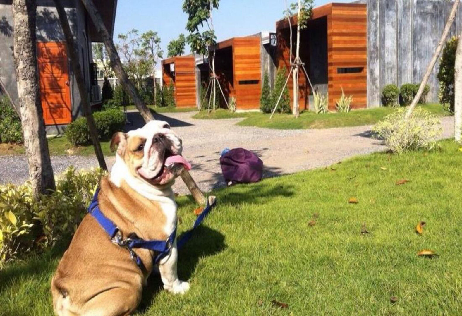 The Infinite Resort Nakhon Sawan