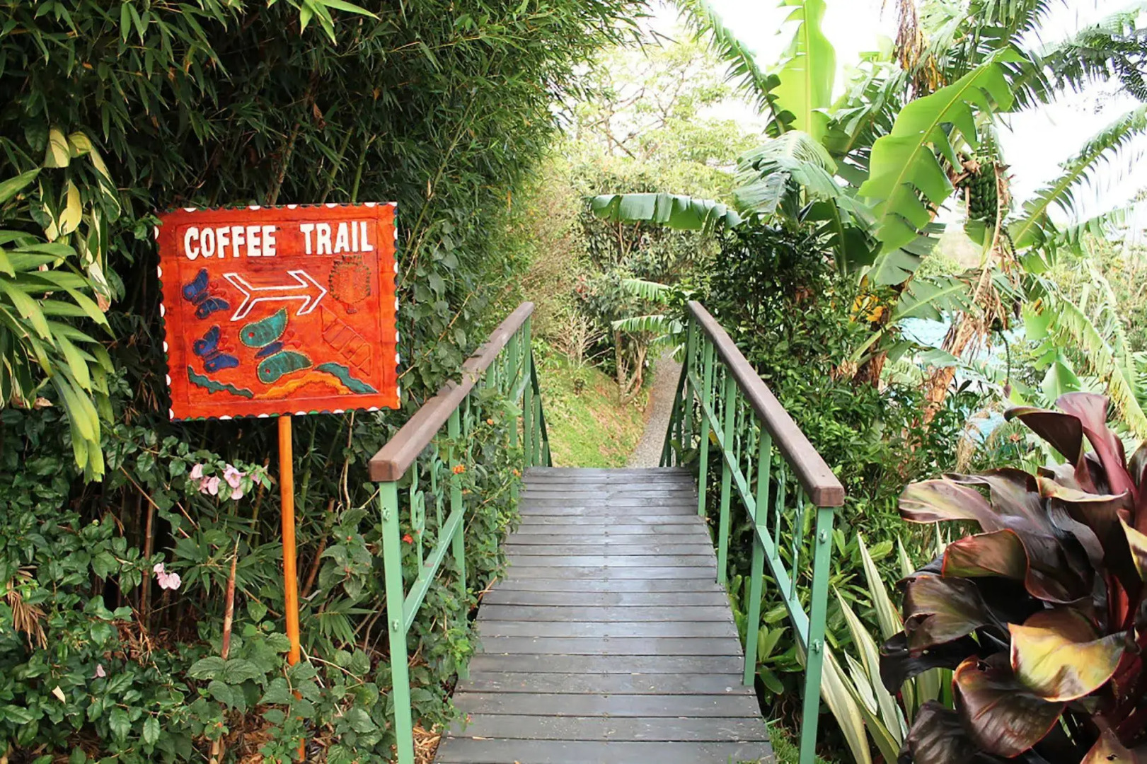 Buena Vista Chic Hotel