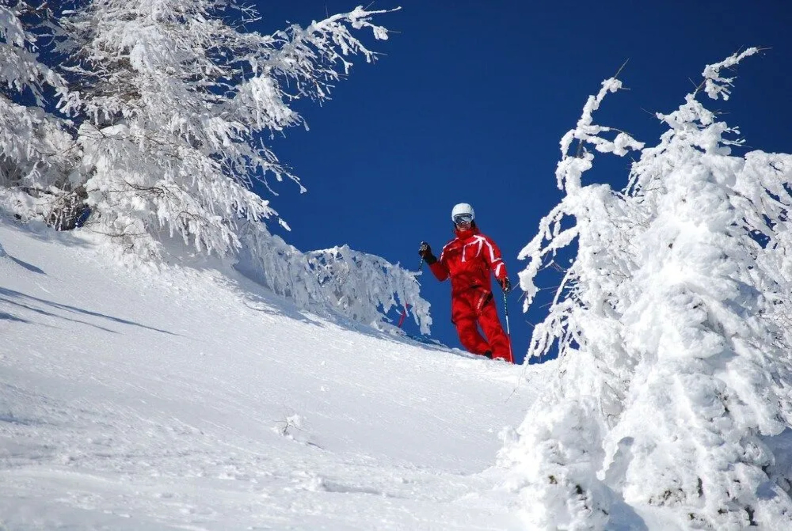 Appartementhaus Speckalm