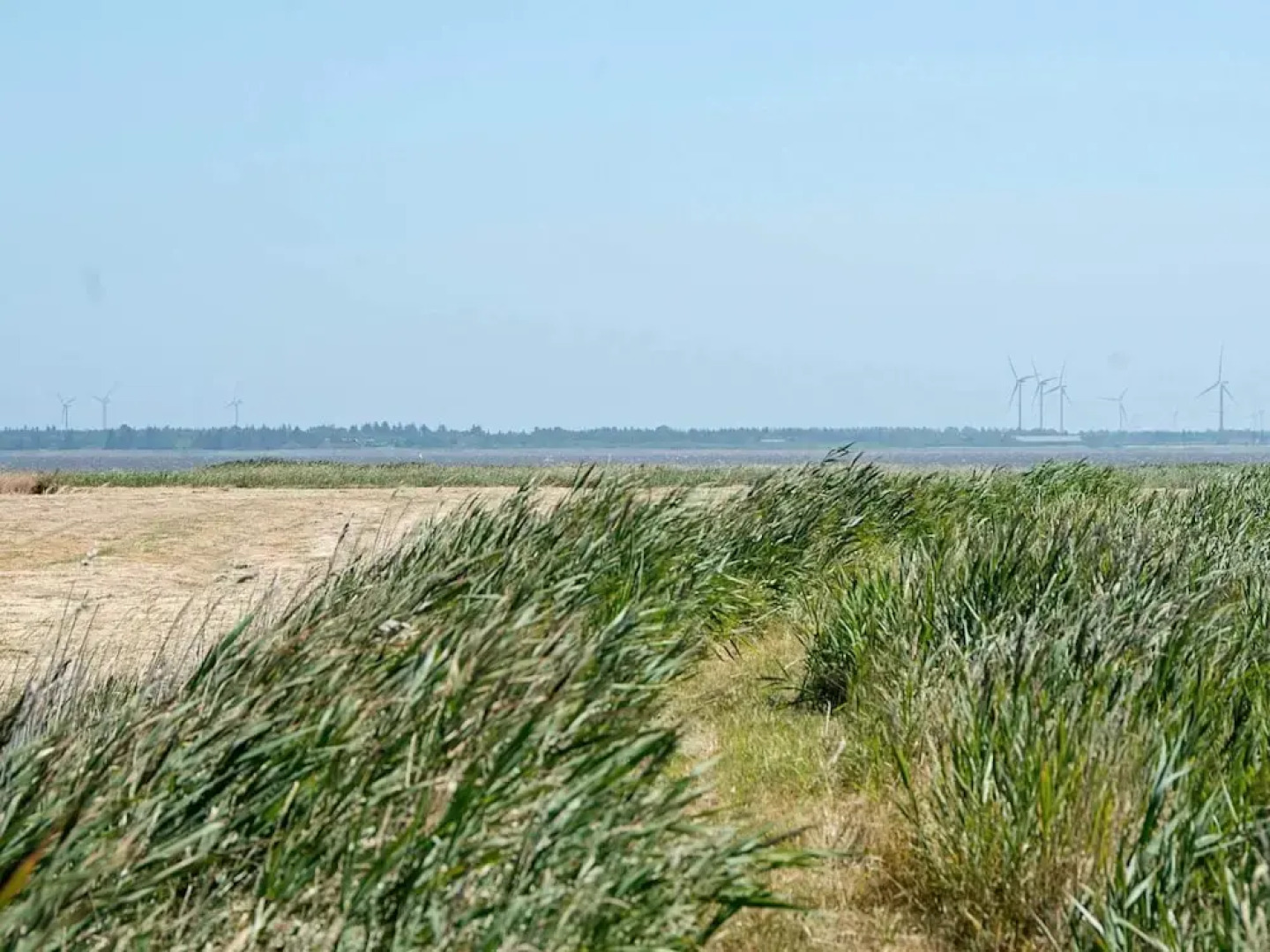 8 Person Holiday Home in Ulfborg-by Traum