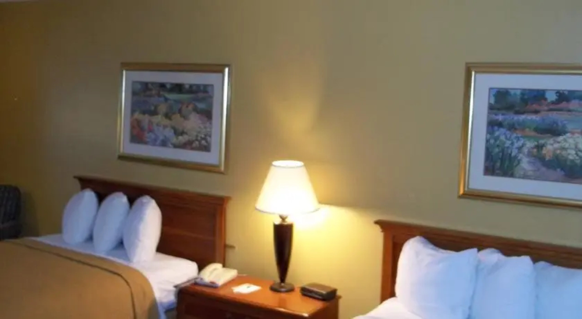 Quality Inn And Suites