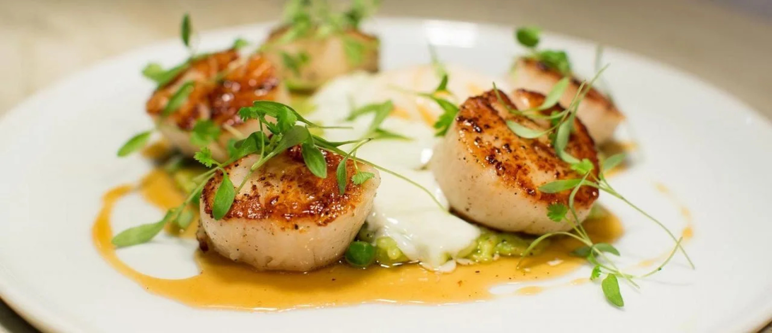 The Beach at Atlantis