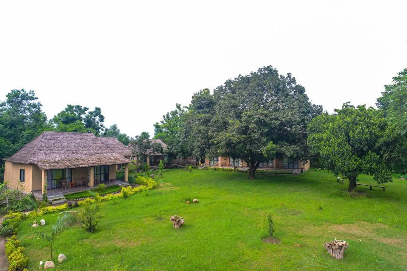 Into The Wild Eco Resort