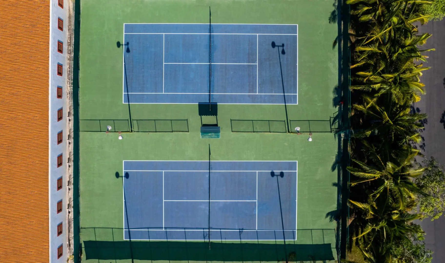 Flamingos Conchas 502