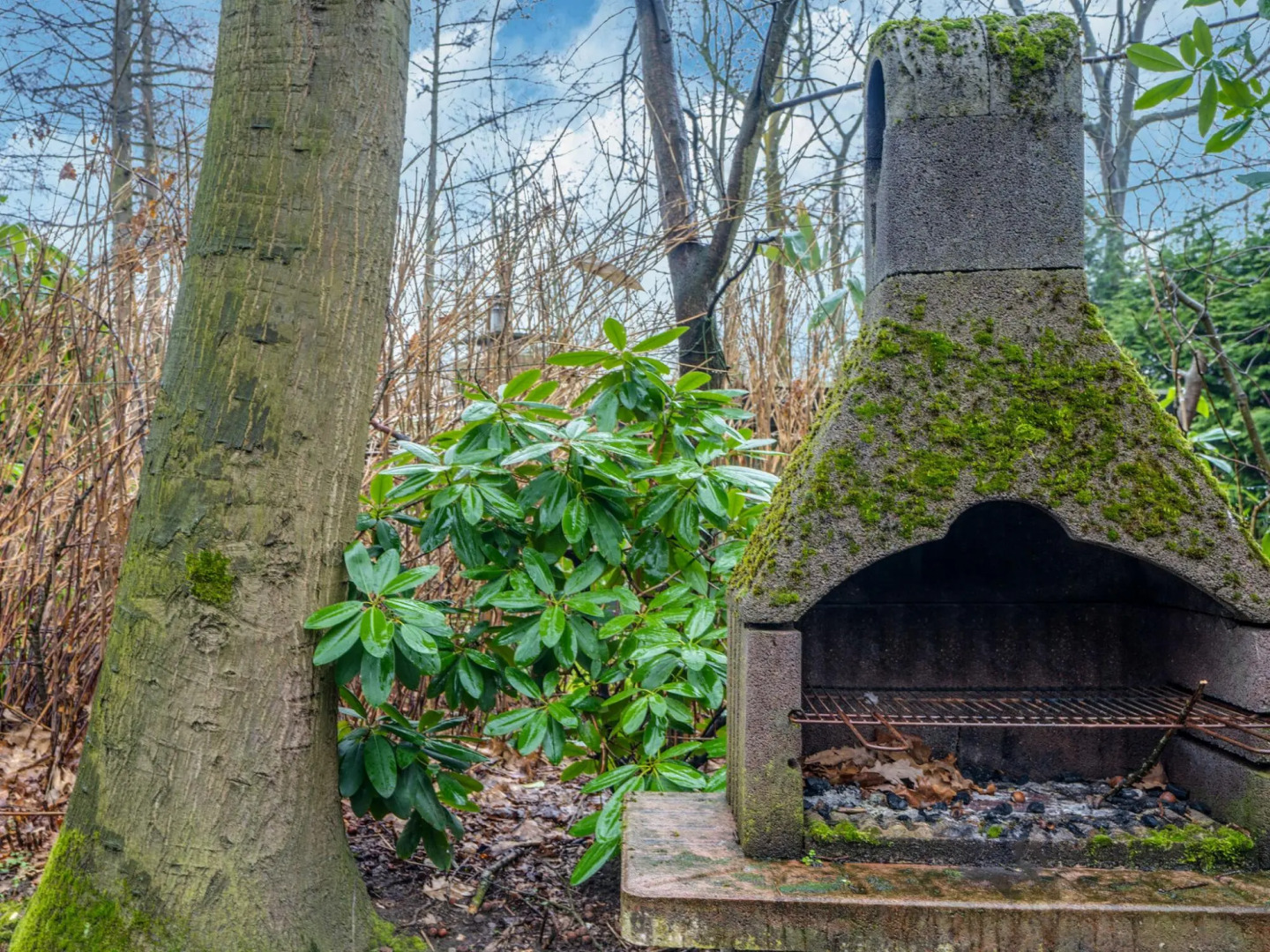 Lanaken Lakeside Cabin Stay