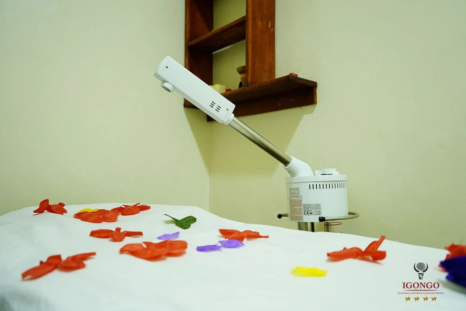 Igongo country hotel and cultural Centre