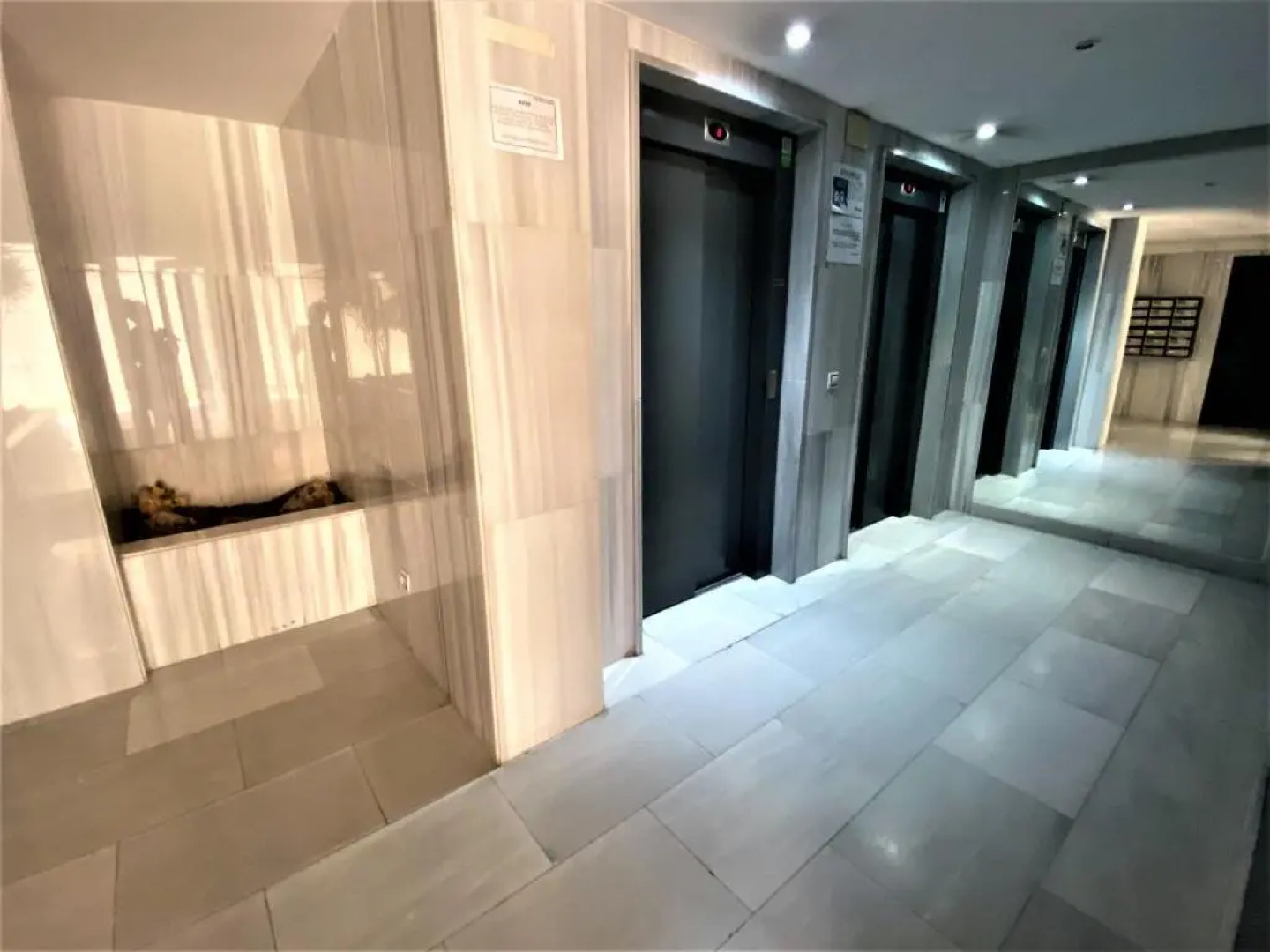 A35 - Tamarindo - 2004 Finestrat s.l.