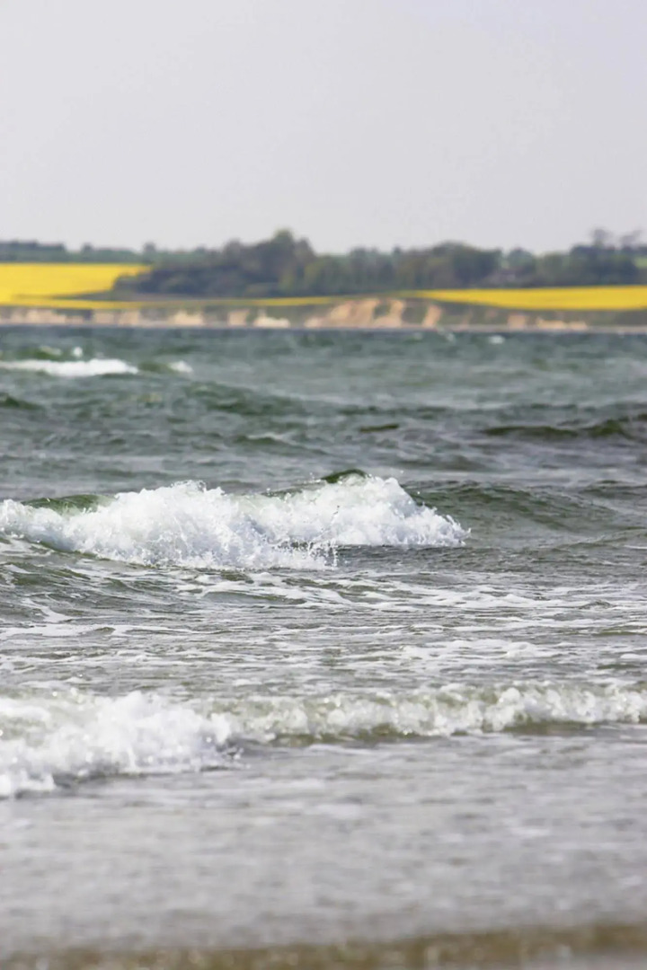 Gl. Avernæs Sinatur Hotel & Konference