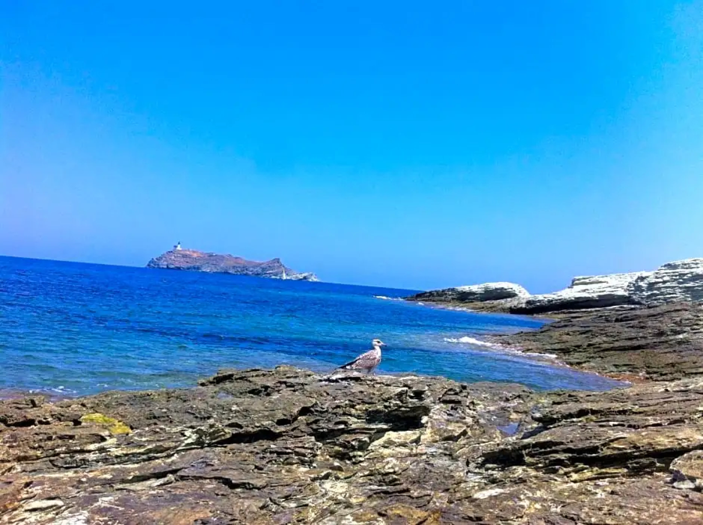 Hôtel Petra Cinta