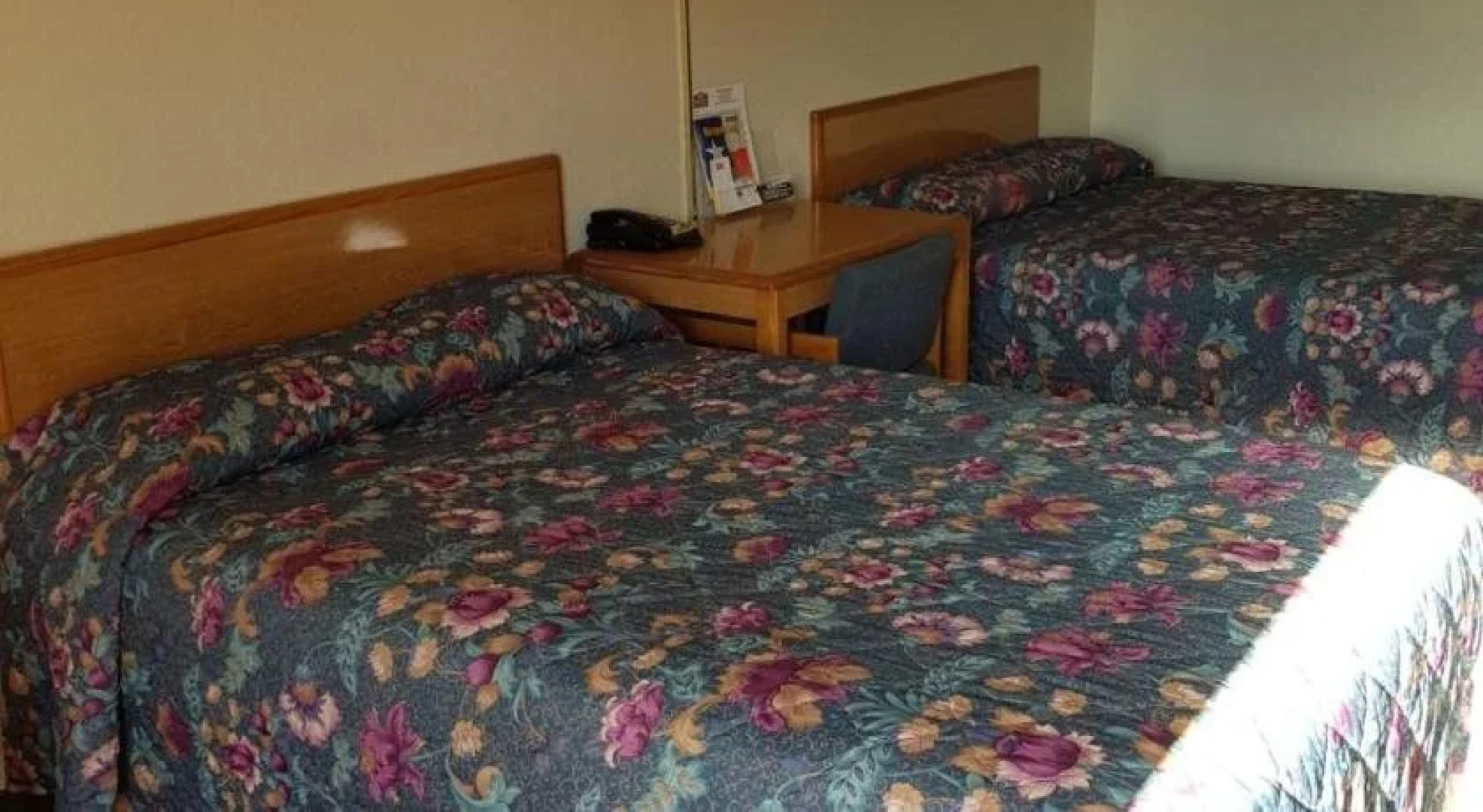 Regency Inn & Suites Bay City