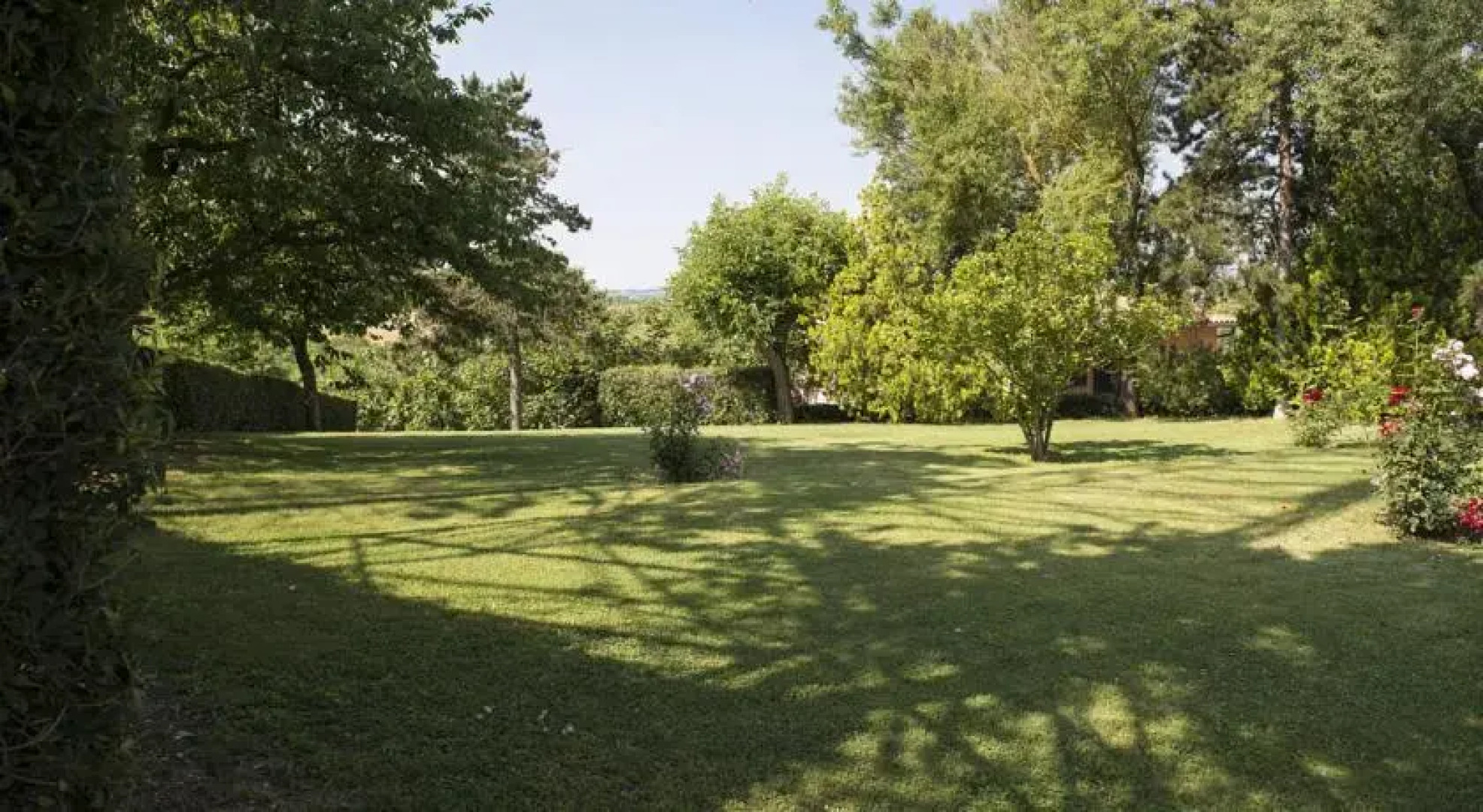 TENUTA FONTE VIVA azienda agricola santo pietro